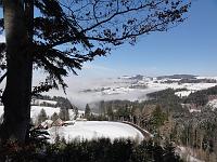  26. Februar 2011 - Blick vom Ginkgo in eine sonnige aber kalte Winterlandschaft
